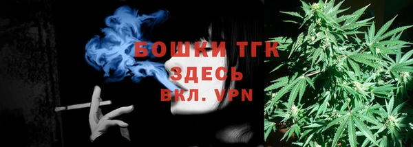 соль ск Вяземский