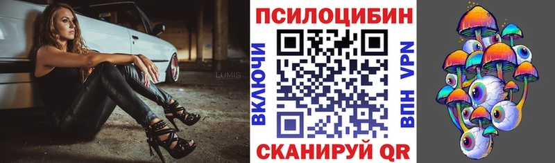 Купить закладки  Арсеньев  Псилоцибиновые грибы Magic Shrooms 